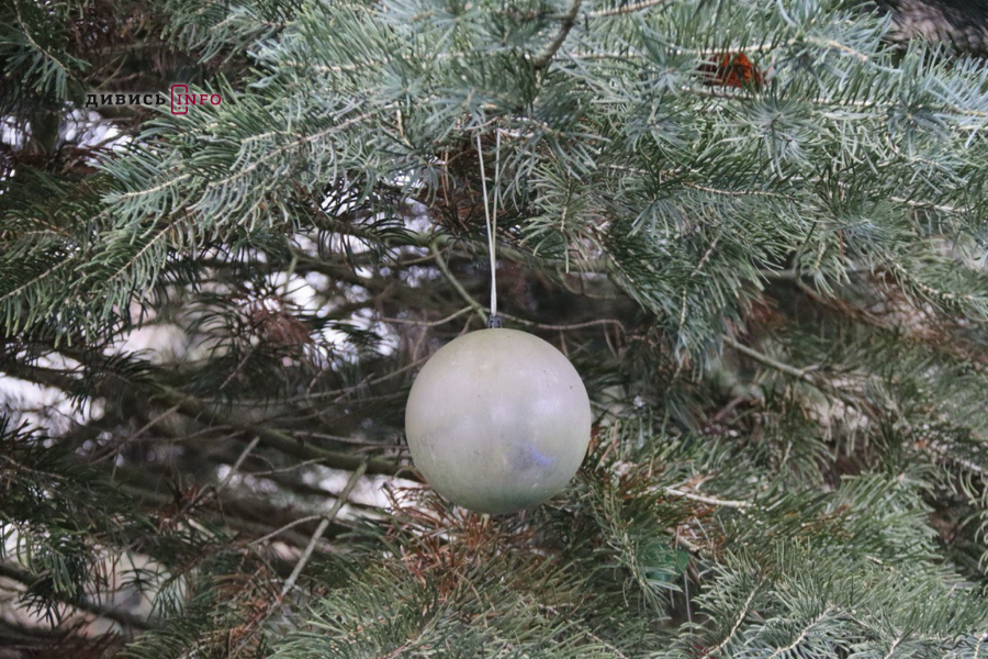 У Львові встановили головну ялинку (фото/відео) - 6