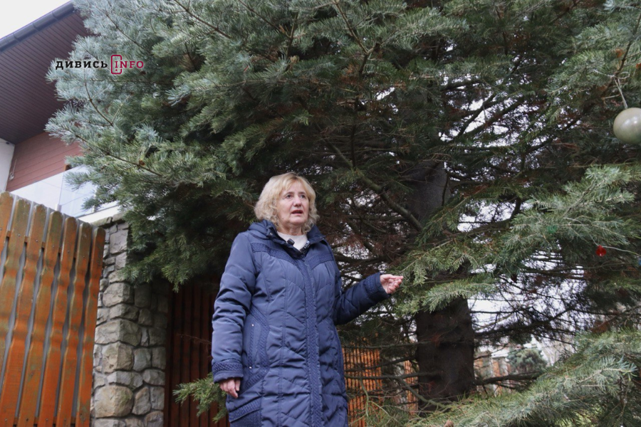 У Львові встановили головну ялинку (фото/відео) - 3