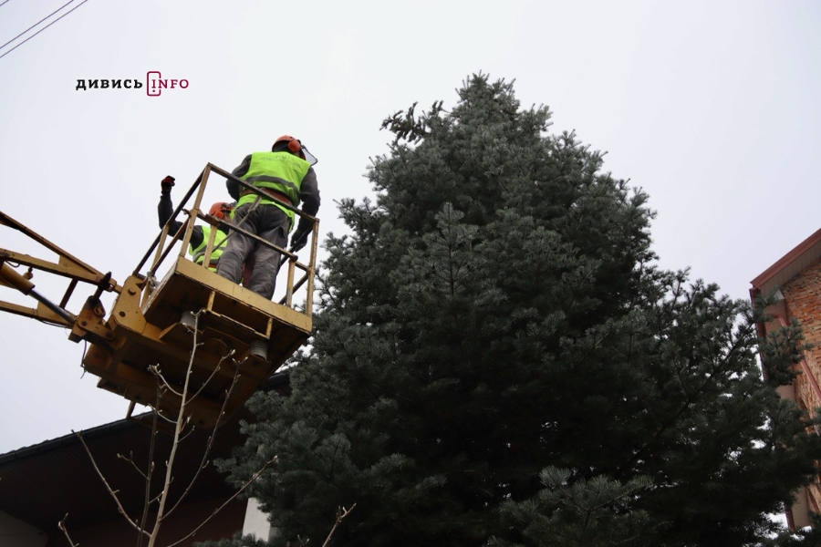 У Львові встановили головну ялинку (фото/відео) - 14