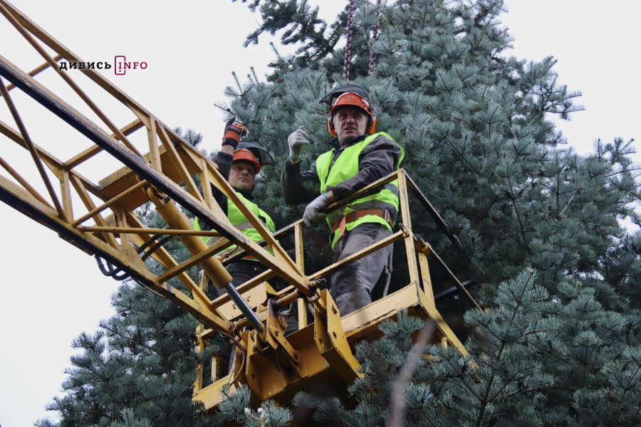 У Львові встановили головну ялинку (фото/відео) - 15