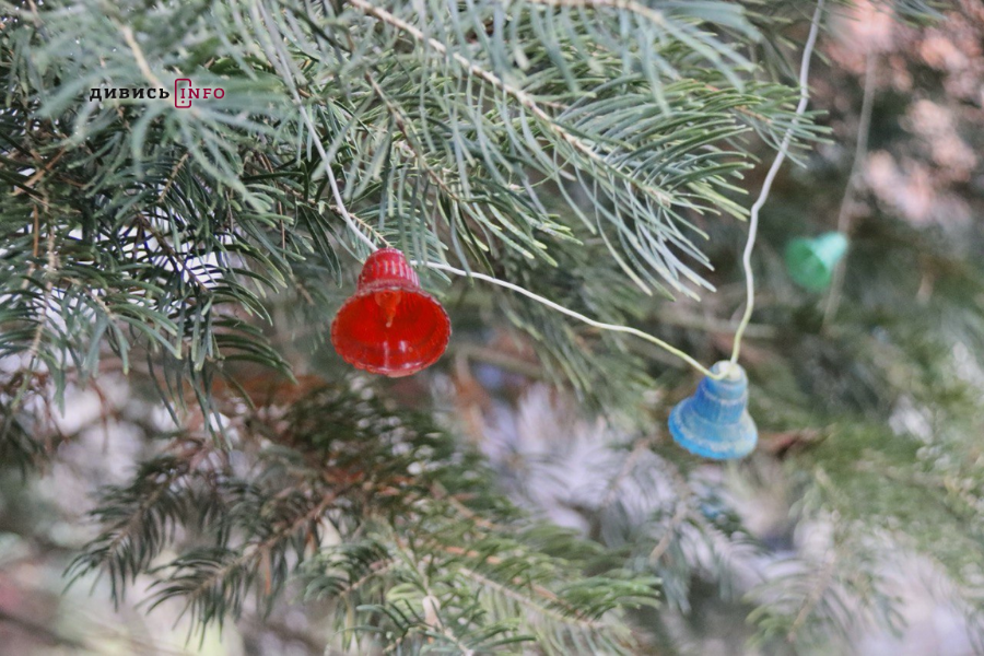 У Львові встановили головну ялинку (фото/відео) - 17