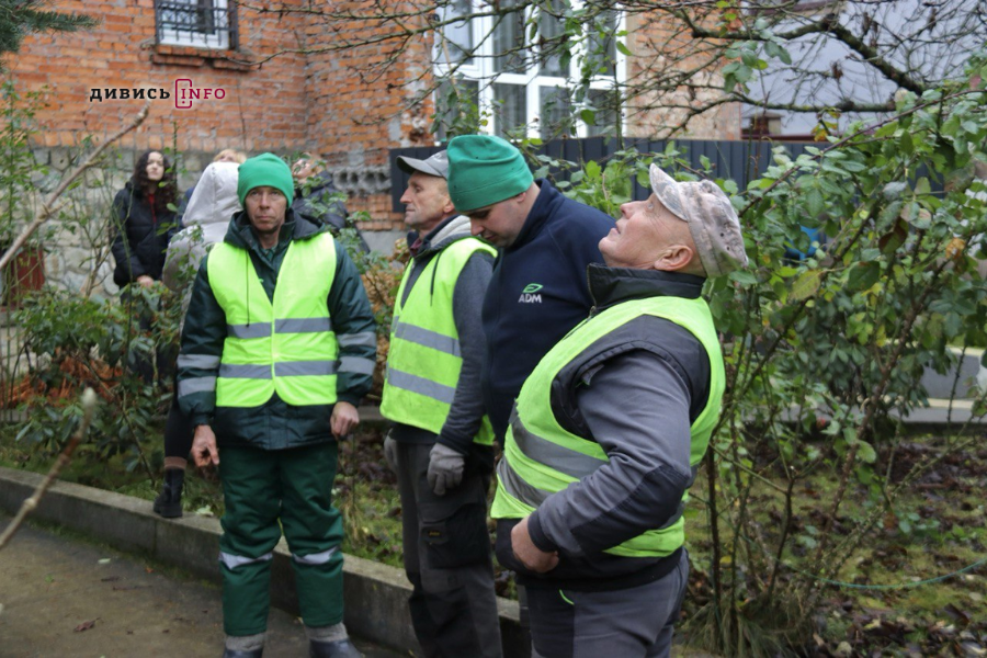 У Львові встановили головну ялинку (фото/відео) - 18