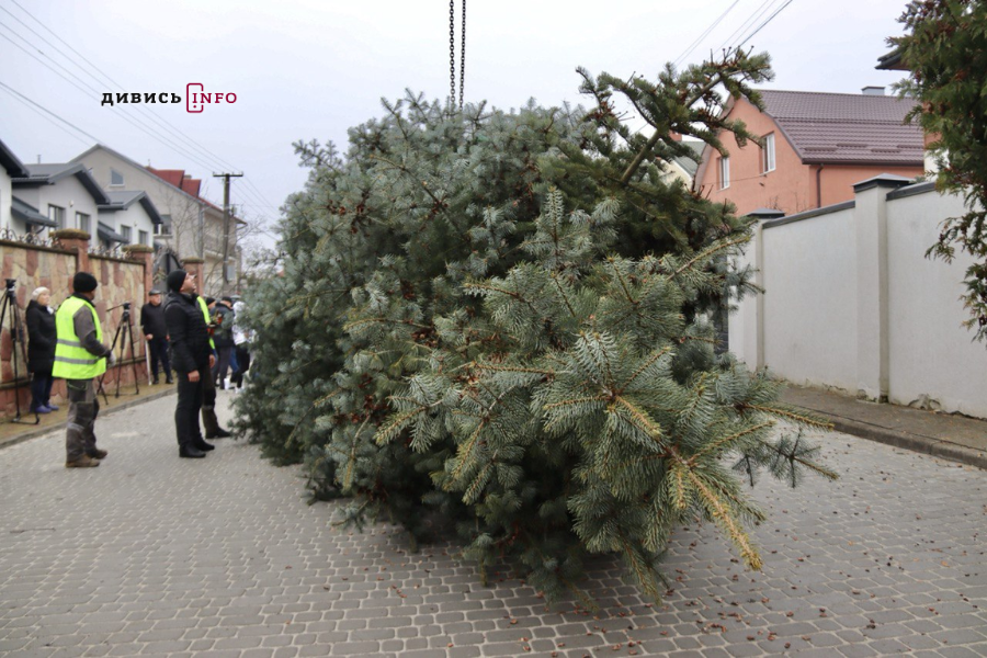 У Львові встановили головну ялинку (фото/відео) - 20