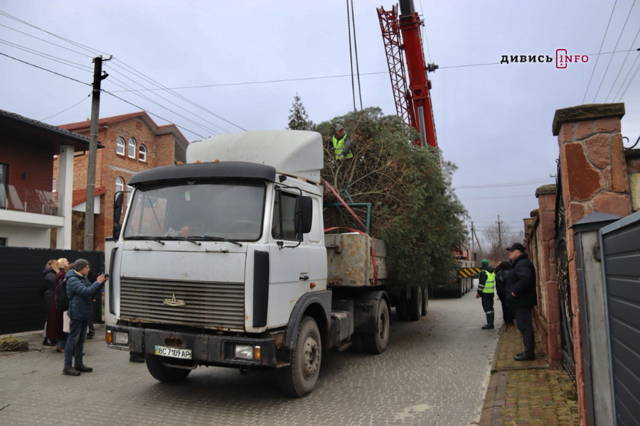 У Львові встановили головну ялинку (фото/відео) - 22