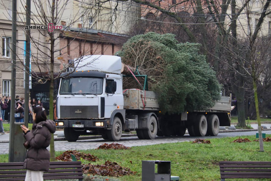 У Львові встановили головну ялинку (фото/відео) - 7
