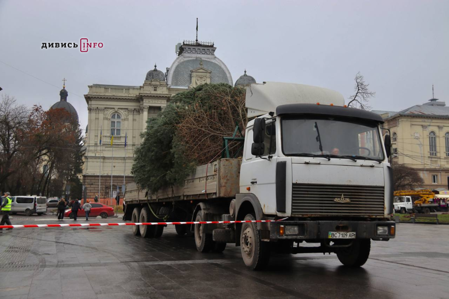 У Львові встановили головну ялинку (фото/відео) - 23