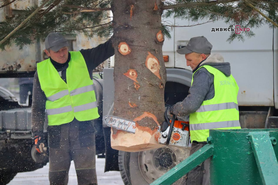 У Львові встановили головну ялинку (фото/відео) - 9