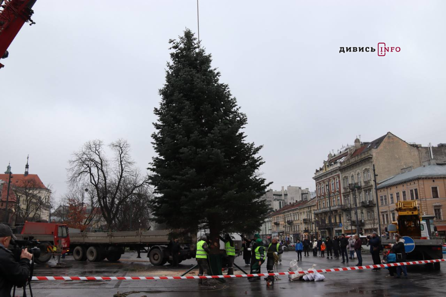 У Львові встановили головну ялинку (фото/відео) - 24