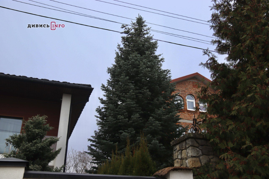 У Львові встановили головну ялинку (фото/відео) - 2