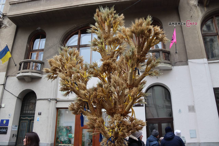 У Львові встановили головного різдвяного дідуха (фото/відео) - 15