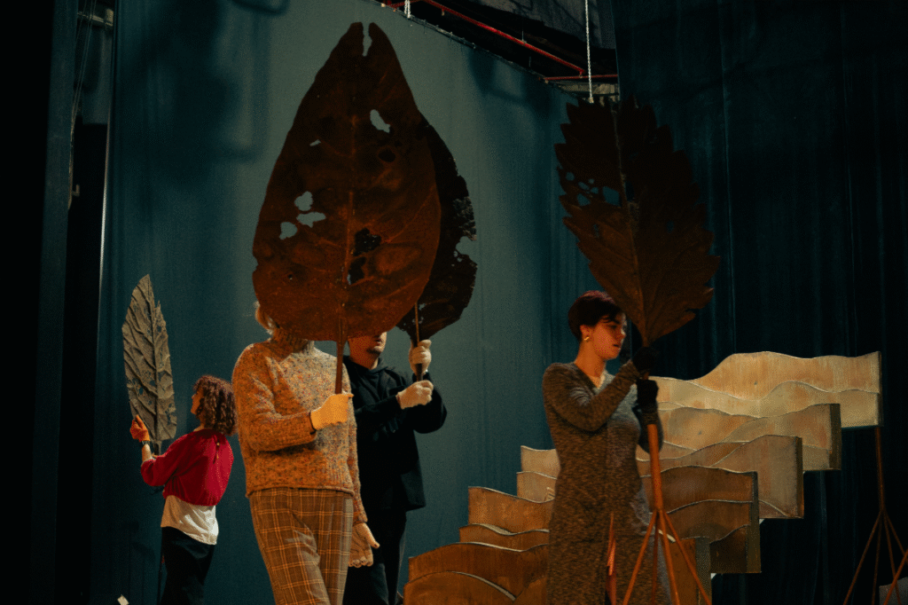 Що подивитися у львівських театрах: добірка вистав на грудень - 2