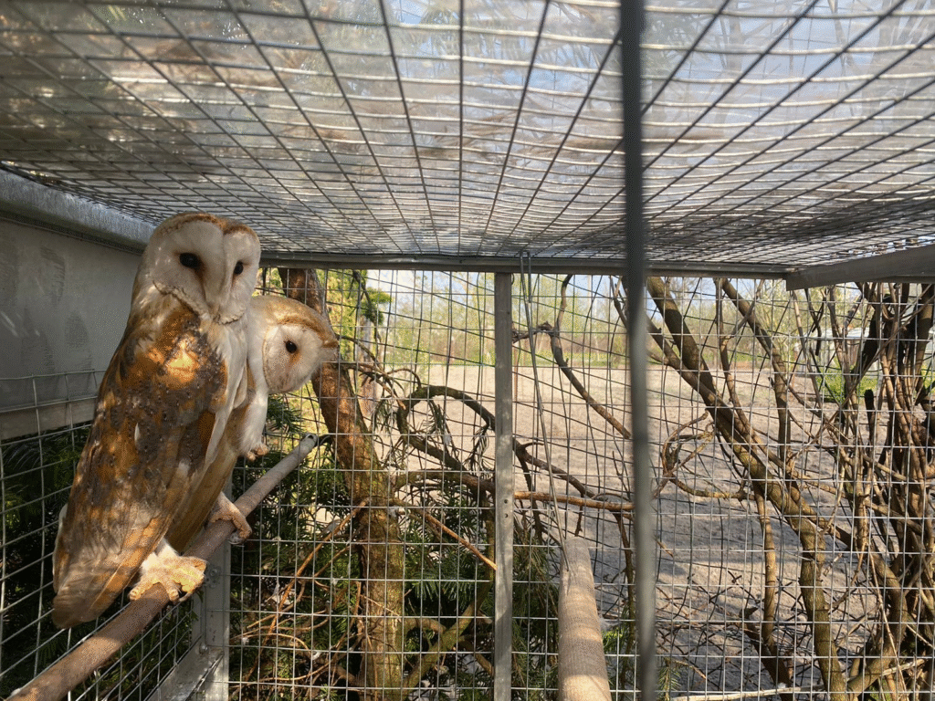 Де взимку на Львівщині відпочити всією сім'єю: добірка локацій - 6