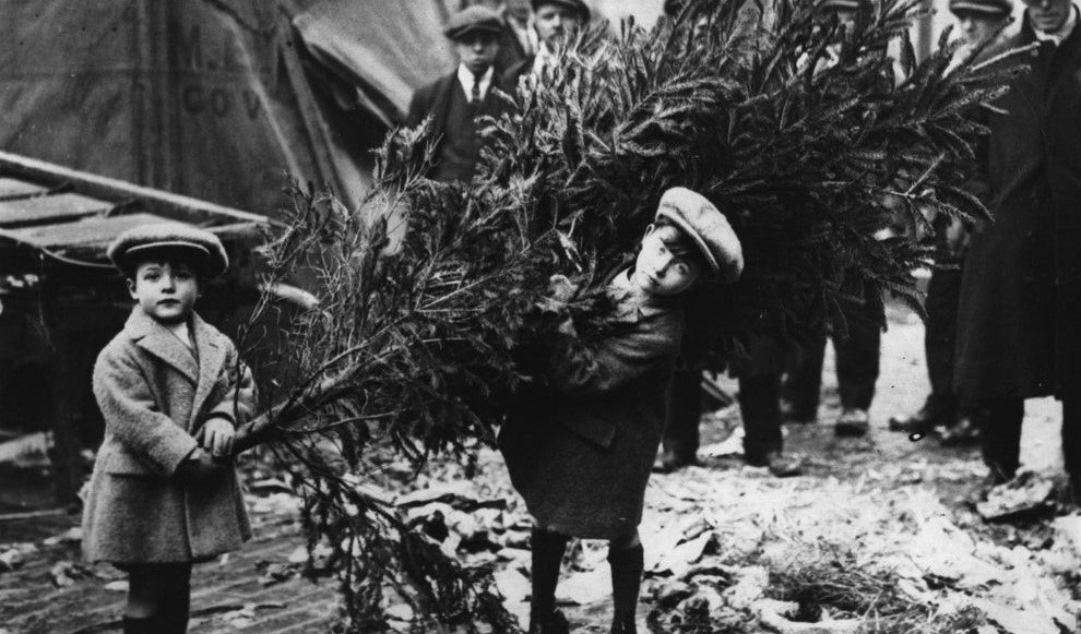 Комуністична крадіжка, Або чому різдвяна ялинка стала новорічною - 5