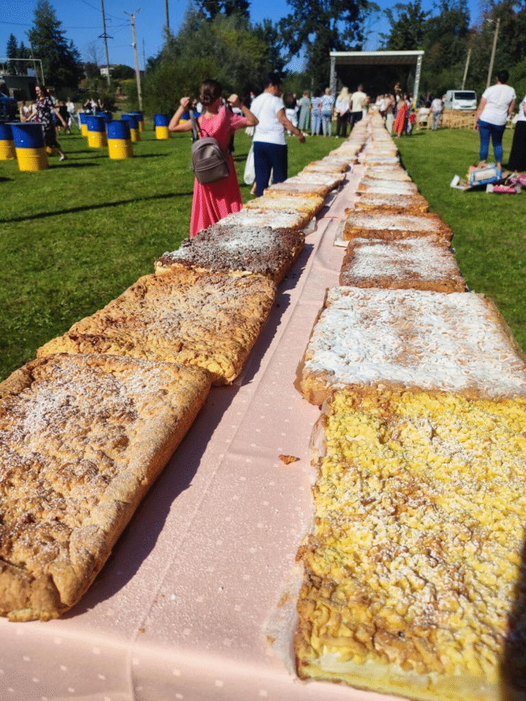 «Чи не найбільше в Україні»: які рекорди фіксували на Львівщині цього року - 7