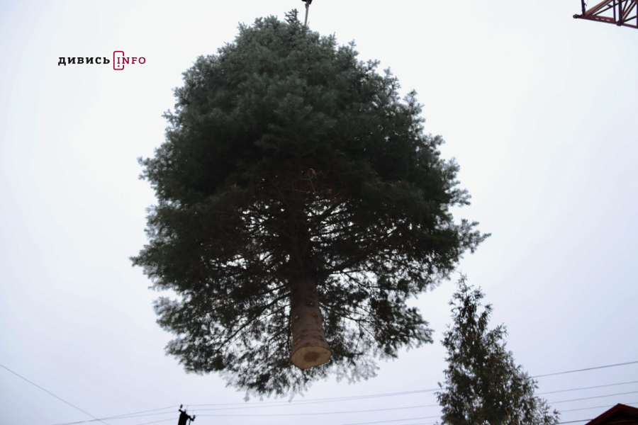 У Львові засвітили головну ялинку міста (фото/відео) - 8
