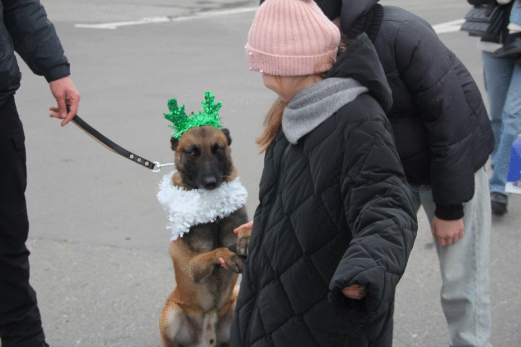 Святий Миколай побував на пункті пропуску на Львівщині (фото) - 3