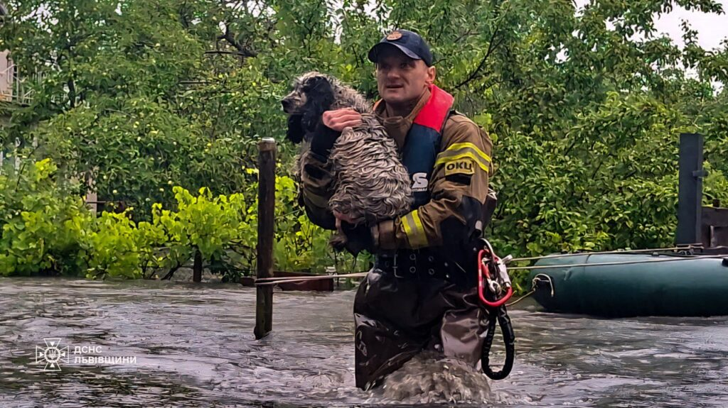 Затоплення, землетрус і пожежі: надзвичайні ситуації, що трапились на Львівщині 2025 року