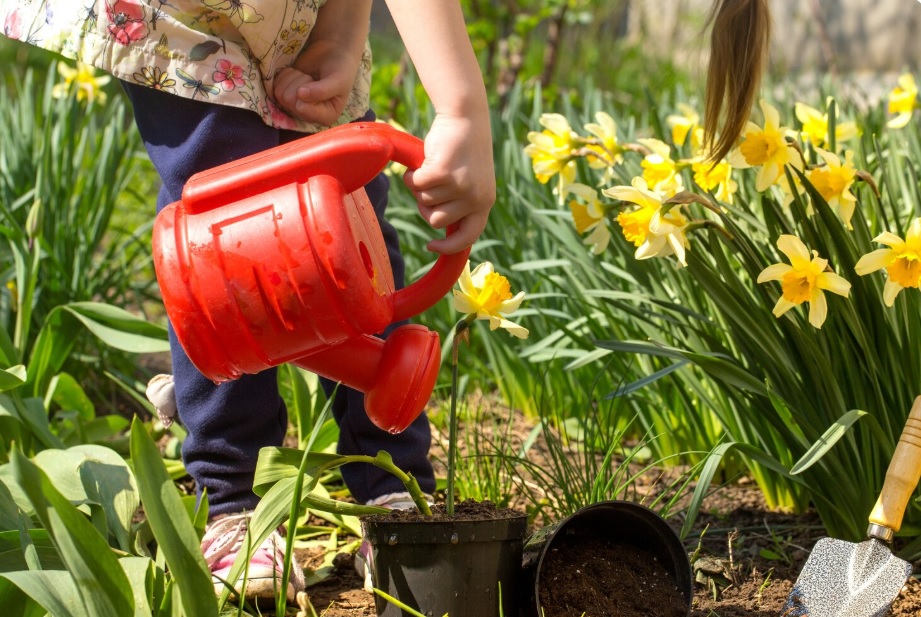 Що робити з садом після зими: помилки початківців - 1