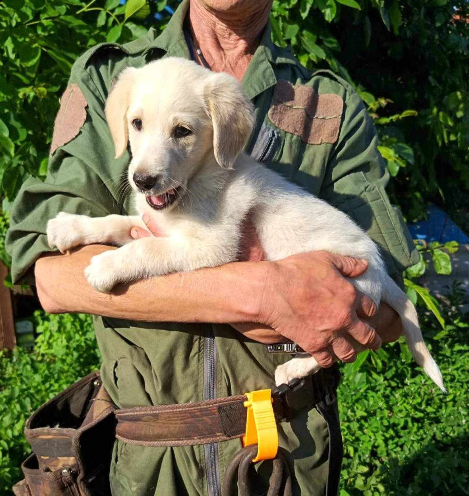 518416729_1066747838935711_8151598055072664717_n