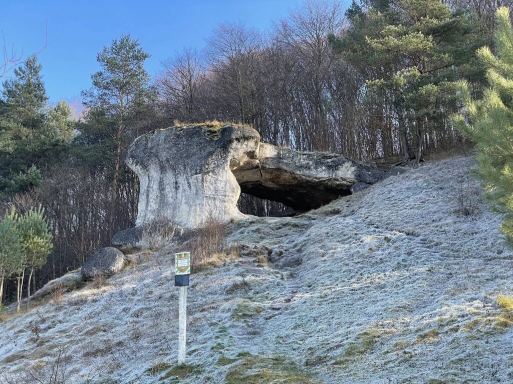Городища, печерні монастирі та закинуті палаци: куди поїхати на Львівщині - 5