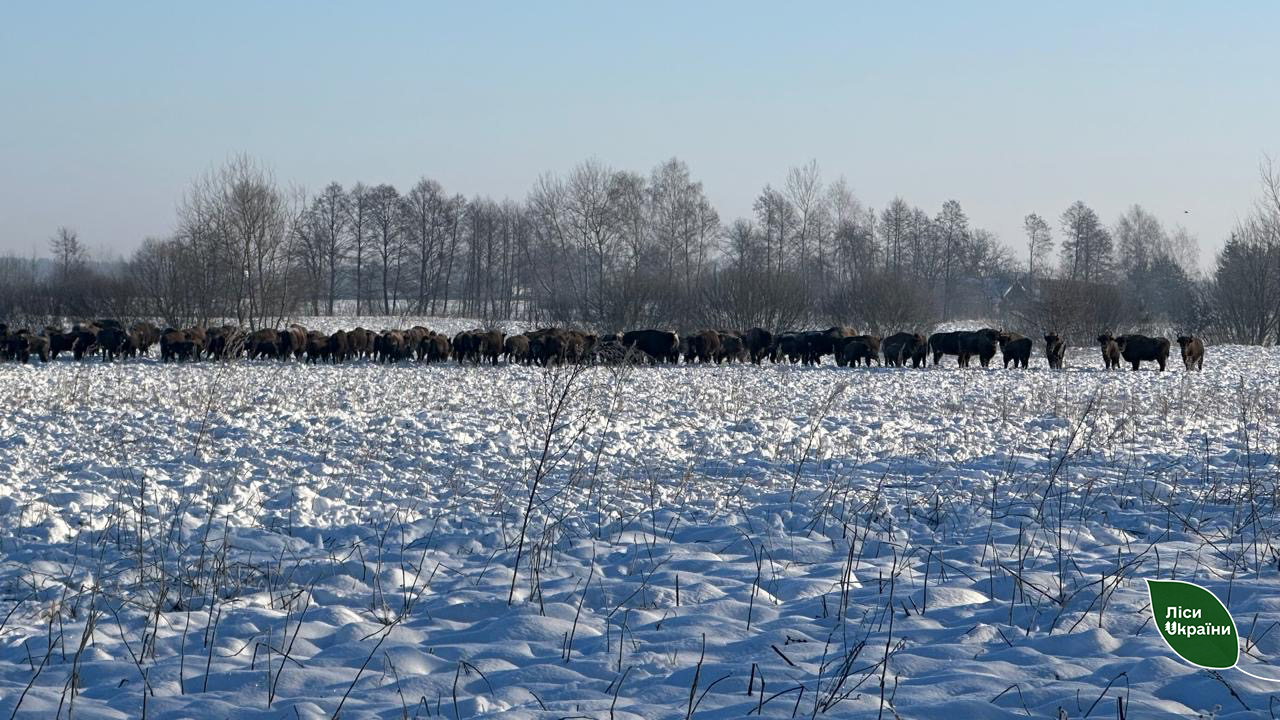 615955568_868144192855053_7915684031021868956_n