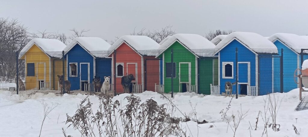 Де на Львівщині можна відвідати тварин та допомогти їм - 2