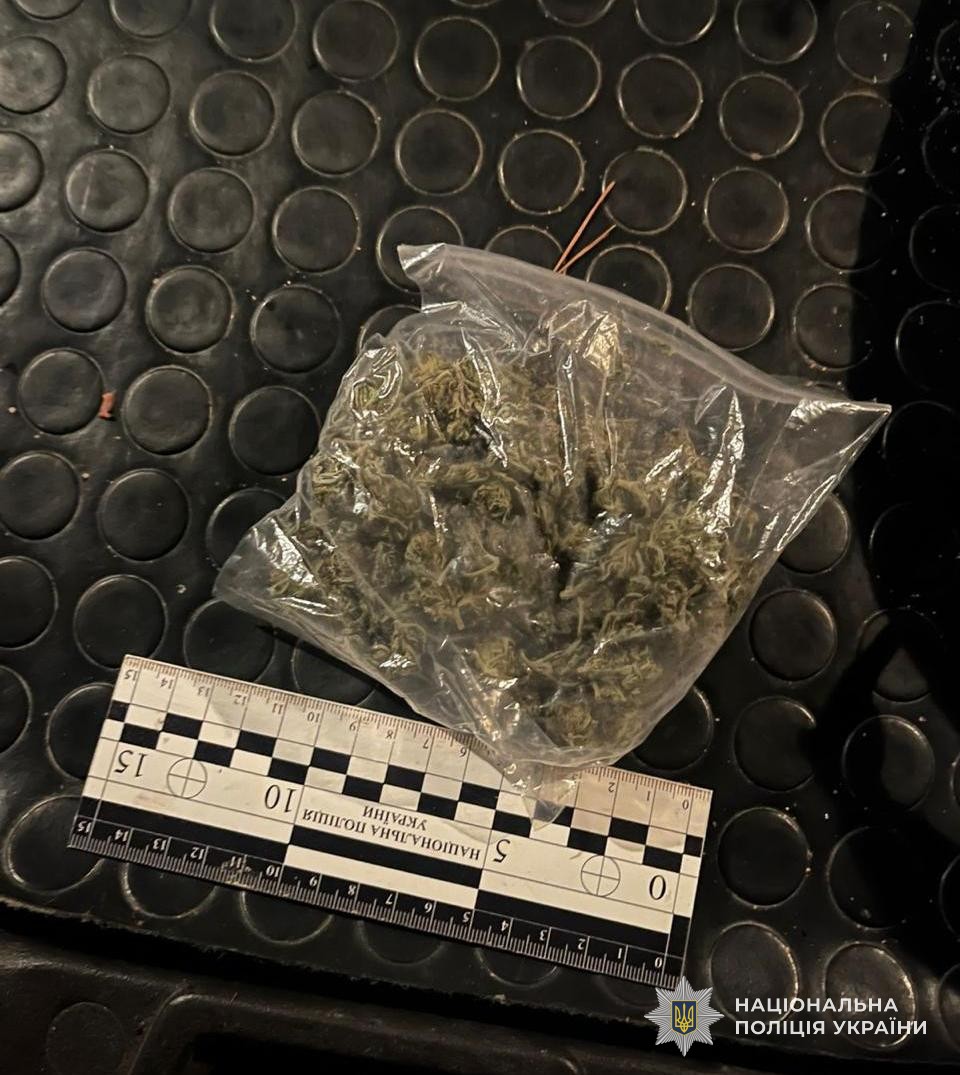 У Бродах затримали підозрюваного у збуті наркотиків та незаконному поводженні зі зброєю - 2