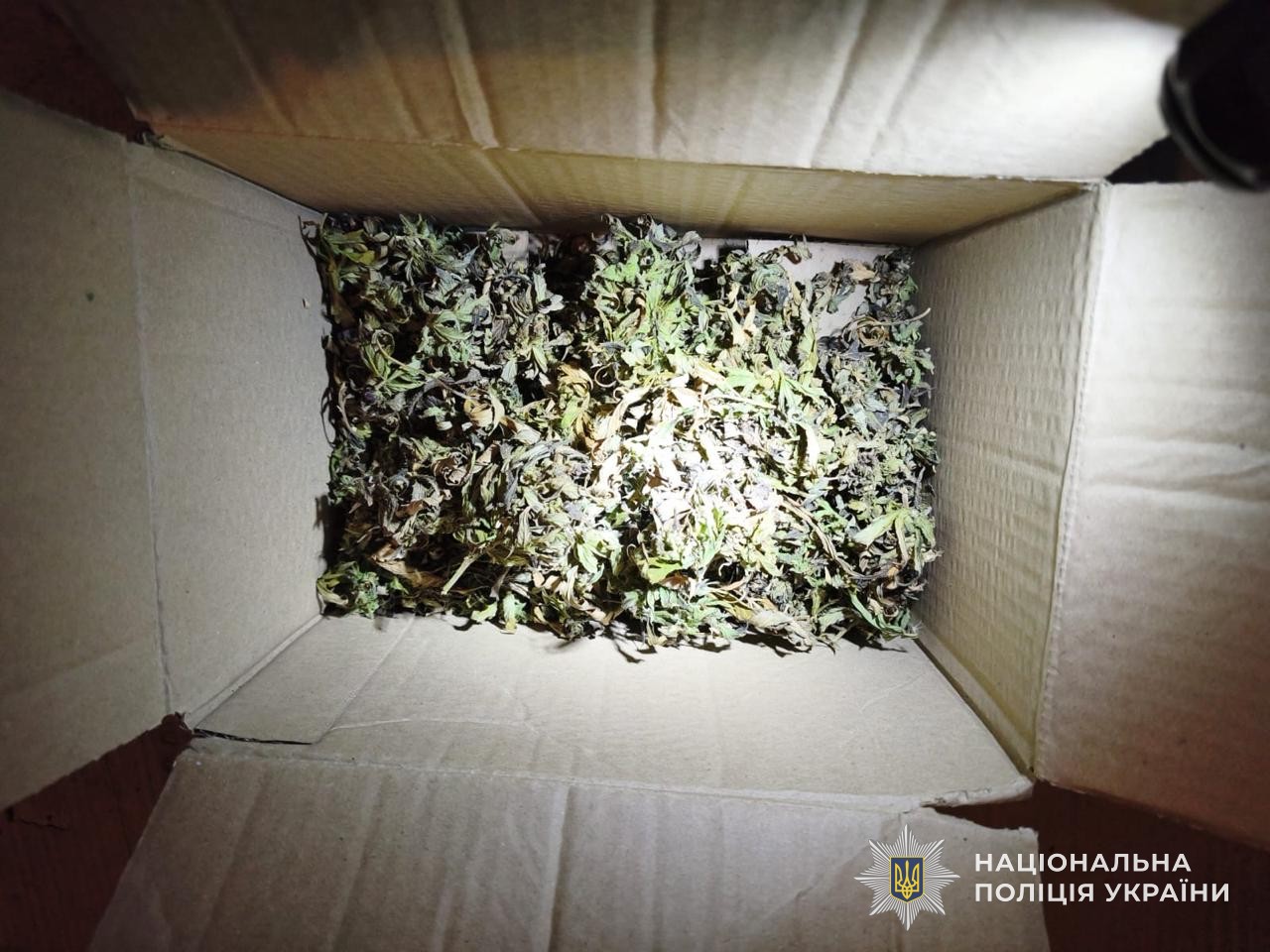 621663983_1319629386875496_342522843572053666_n