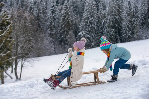 Де у Львові покататись на санях - 2