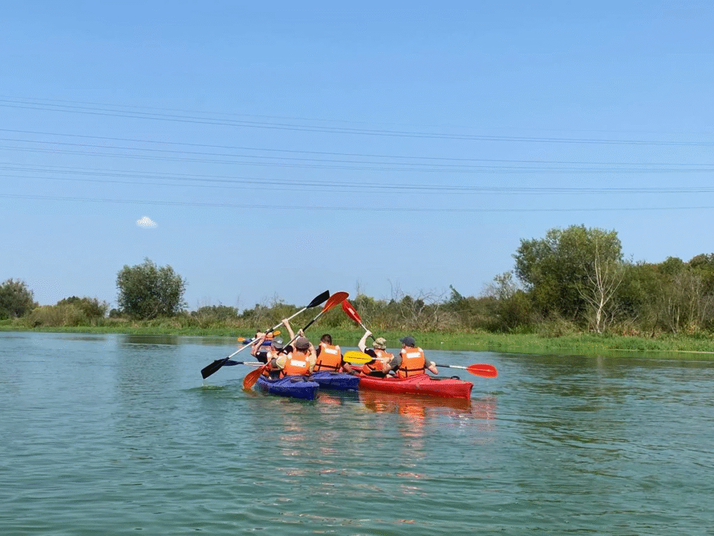 «Драйвер для розвитку громад»: як на Львівщині розвиватимуть кемпінги та де вони будуть - 2