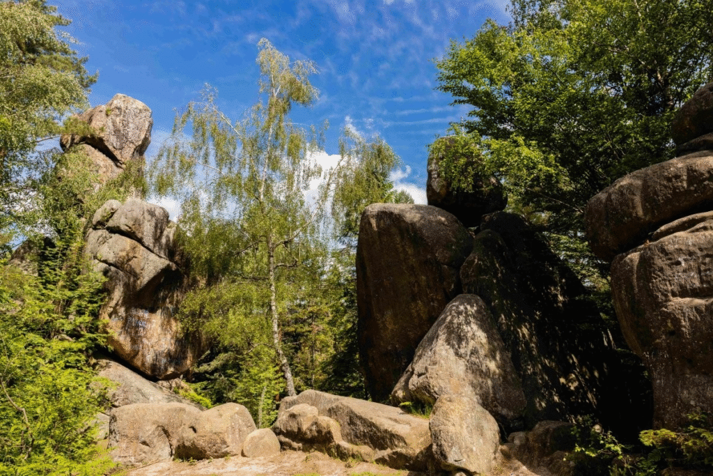 «Драйвер для розвитку громад»: як на Львівщині розвиватимуть кемпінги та де вони будуть - 7