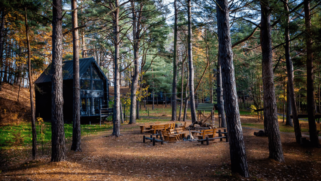 «Драйвер для розвитку громад»: як на Львівщині розвиватимуть кемпінги та де вони будуть - 12