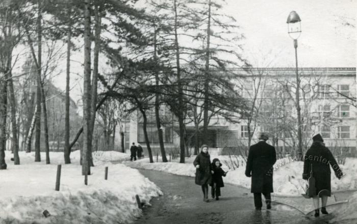 Яким був зимовий Львів у минулому столітті: добірка світлин - 12