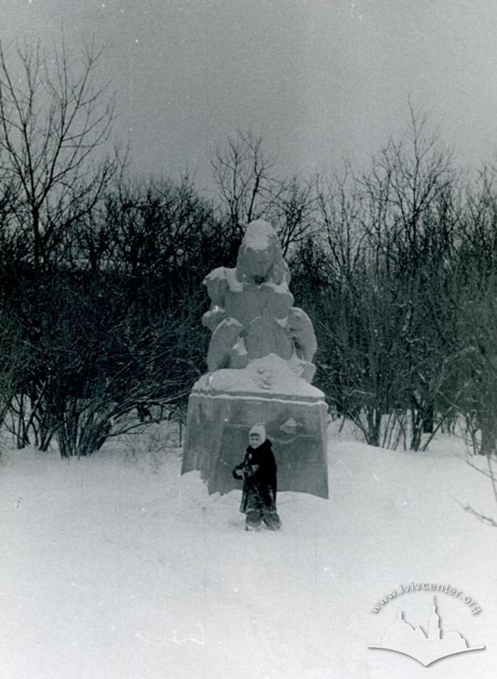 Яким був зимовий Львів у минулому столітті: добірка світлин - 20