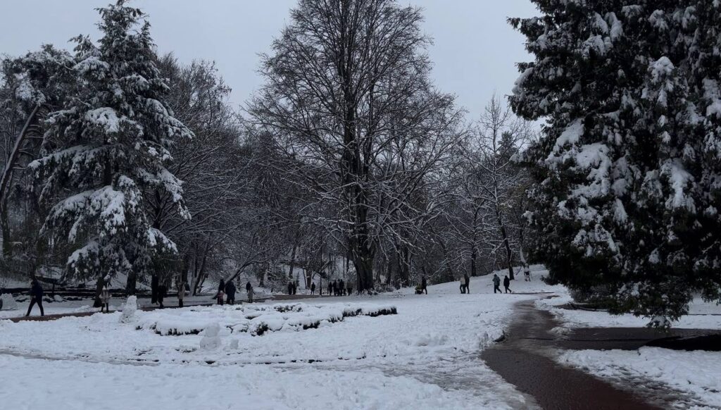 Де у Львові покататись на санях - 4