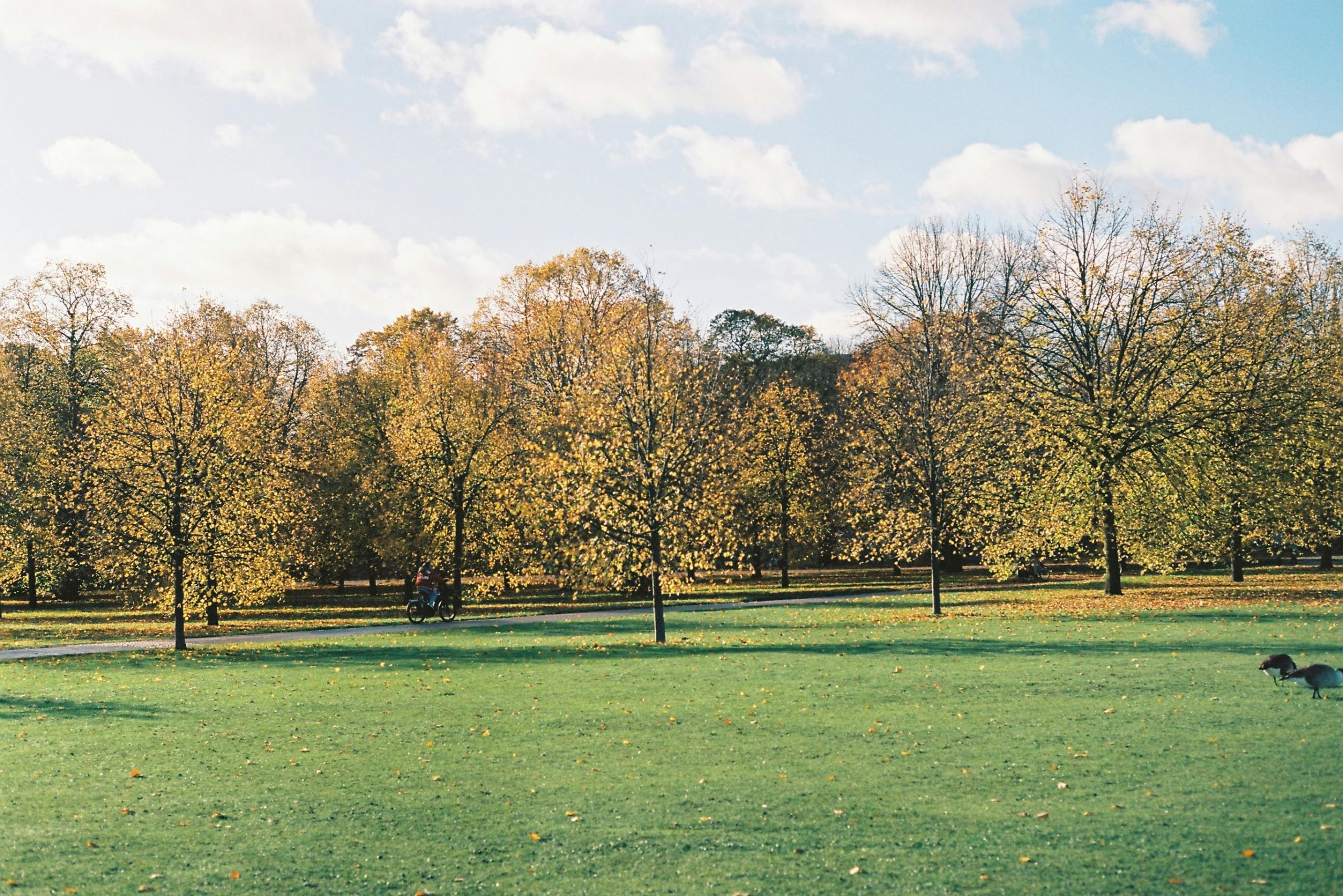 photo_5355141434736053462_w-1