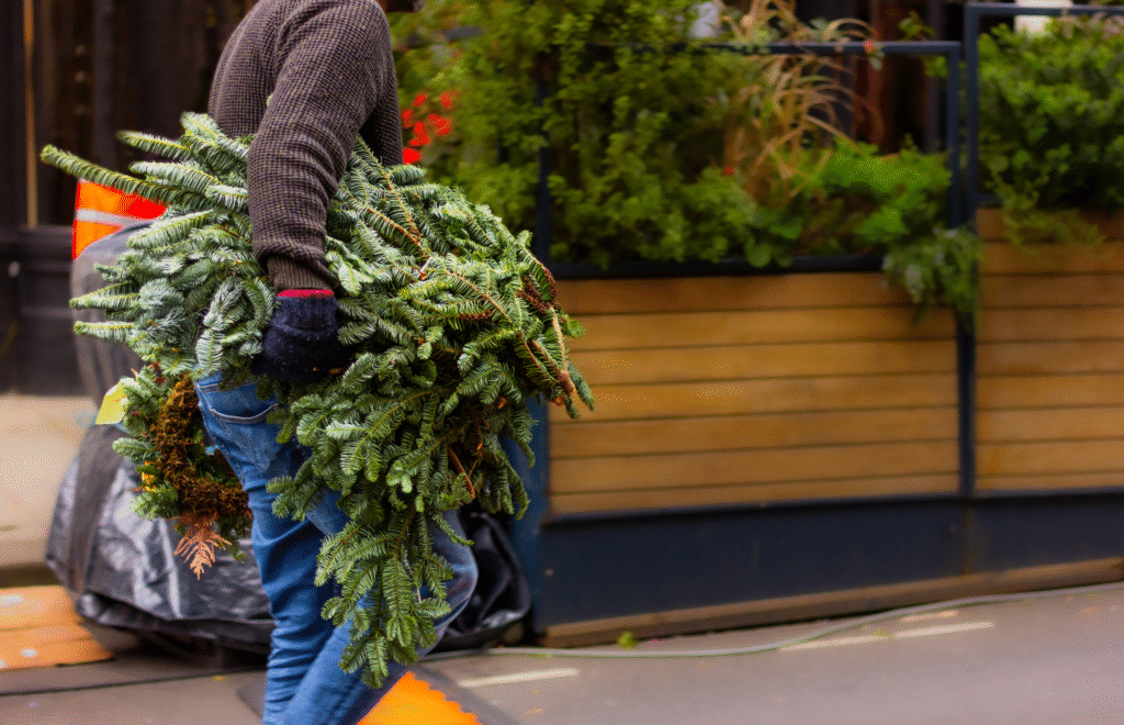 Традиції на Богоявлення, найбільше трансплантацій і рідкісні імена на Львівщині: головні новини дня - 4