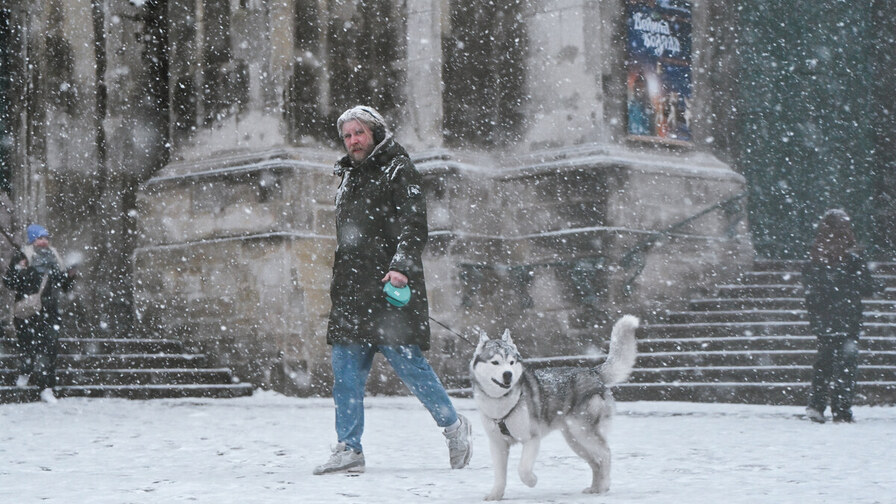 сніг у Львові