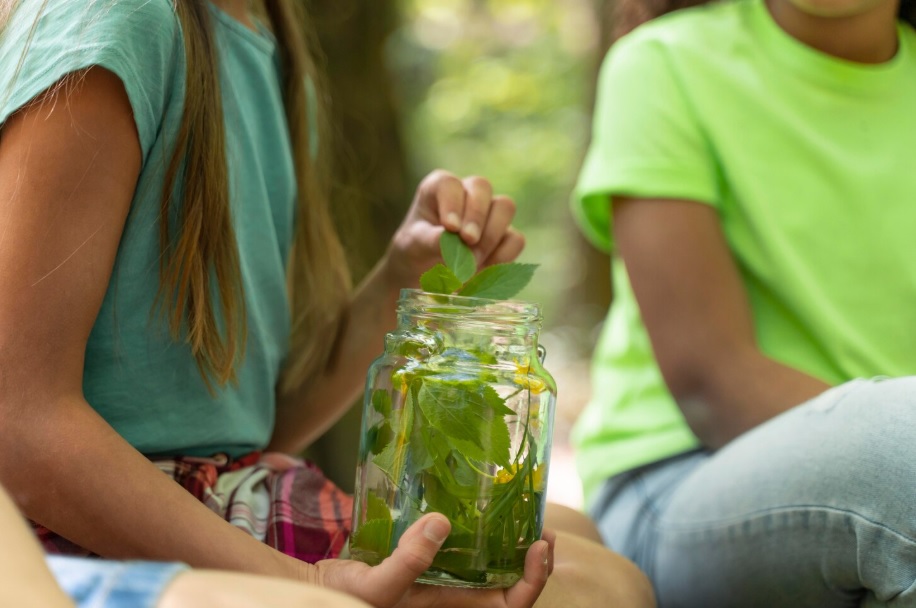 Весняні гуртки: що обрати дитині у 2026 році - 2