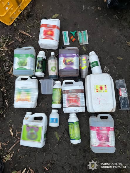 На Львівщині судитимуть засновників конопляної «плантації» - 3