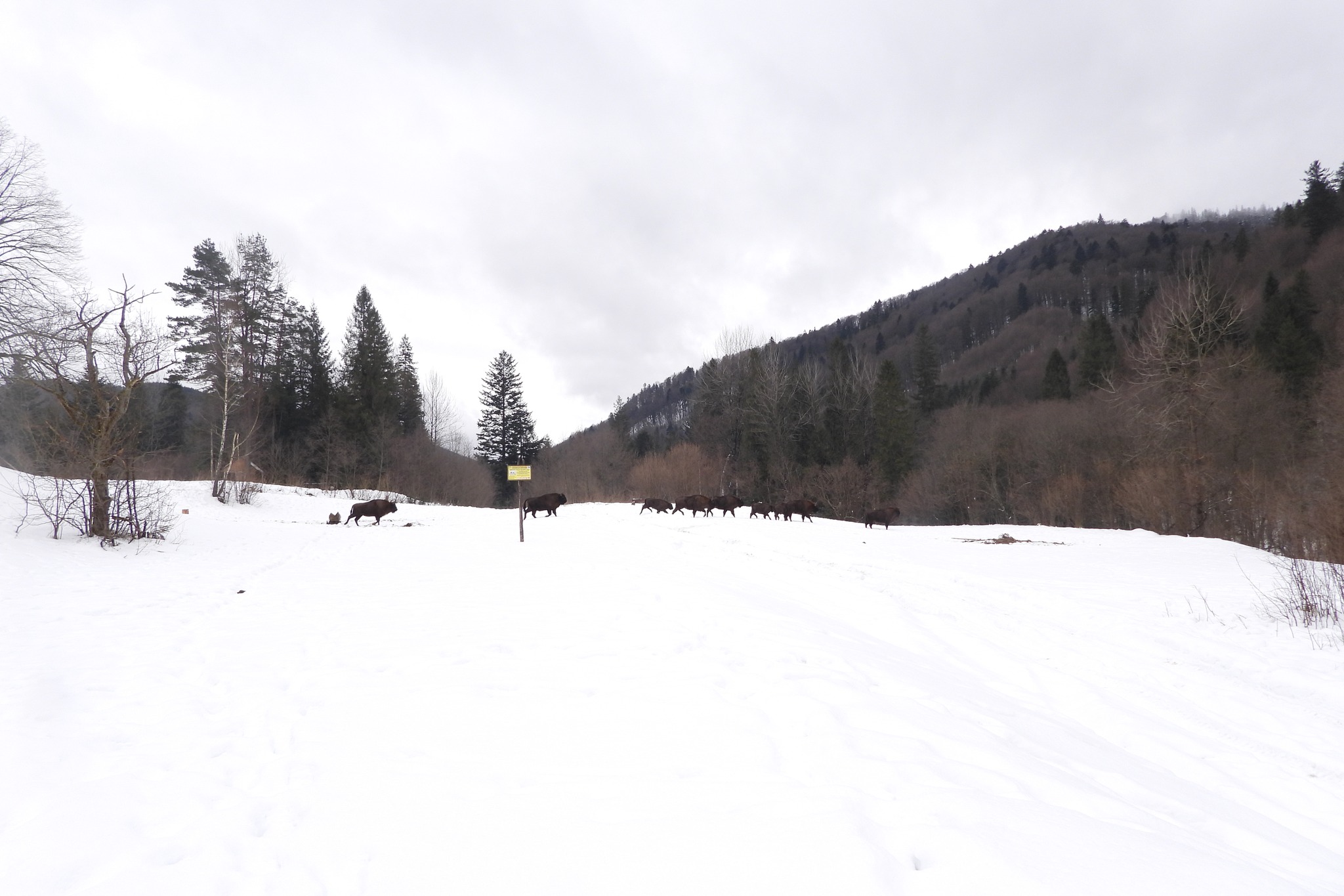 625078150_1347077144128901_945095541444802137_n