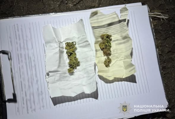 У Золочеві викрили 33-річного чоловіка, підозрюваного у збуті канабісу - 1