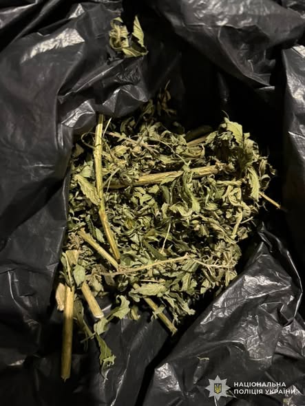 У Золочеві викрили 33-річного чоловіка, підозрюваного у збуті канабісу - 2