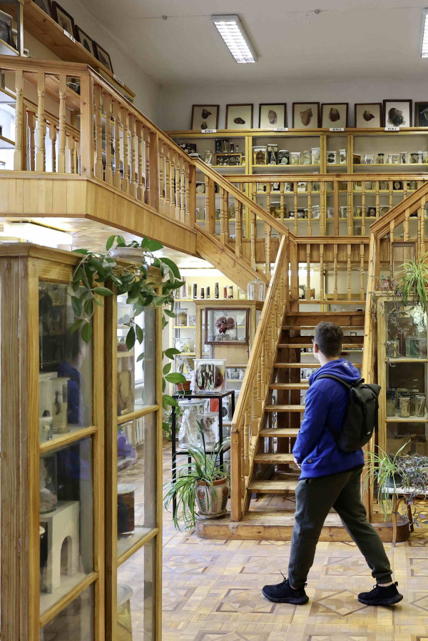 Технології, мінерали та мамонти: добірка цікавих музеїв для дітей у Львові - 12