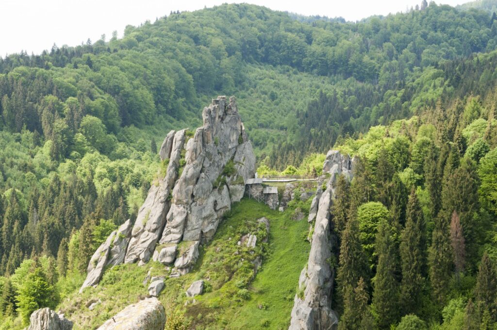 Куди поїхати на Львівщині: мистецькі парки, замки та озеро - 2