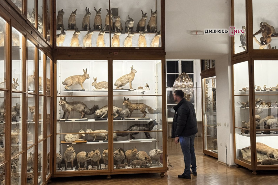 Технології, мінерали та мамонти: добірка цікавих музеїв для дітей у Львові - 9