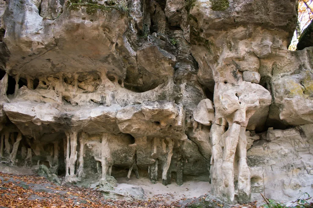 Криївки, військові музеї, пам'ятки археології: куди поїхати туристам на Львівщині - 2