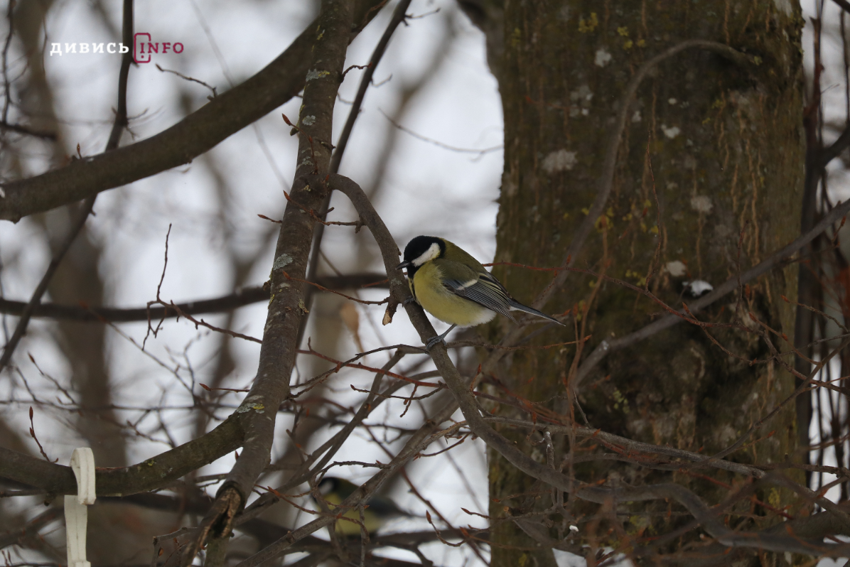 image - 2026-02-04T162604.022