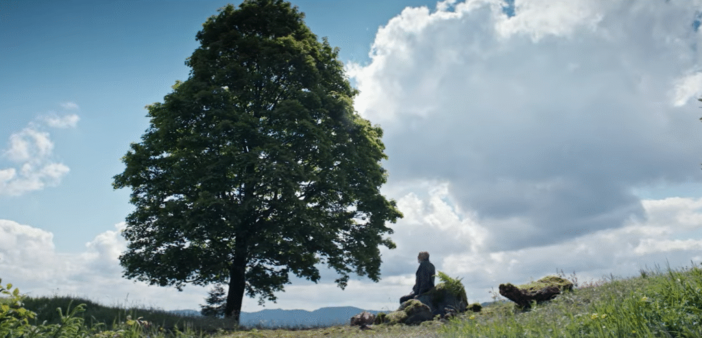 Що подивитися в кінотеатрах: добірка нових фільмів - 12