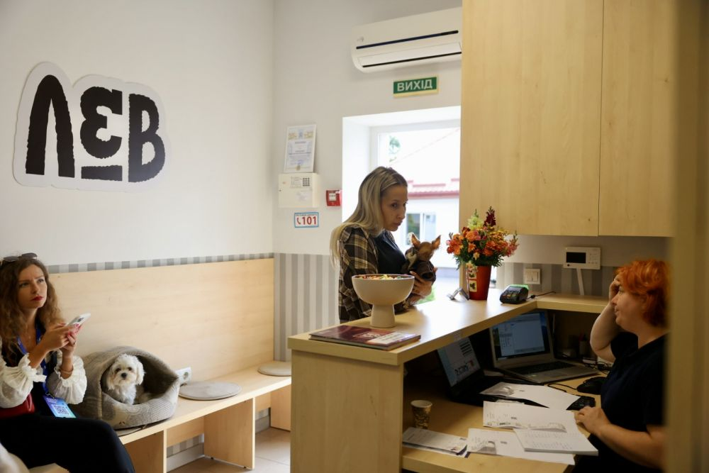 «Люди шкодують, що не зробили цього раніше», — львівський ветеринар про переваги та нюанси стерилізації тварин - 6